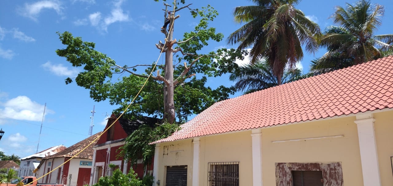 Podan árbol de ceibo para salvar casa de teja de pizarra en Palizada, Campeche