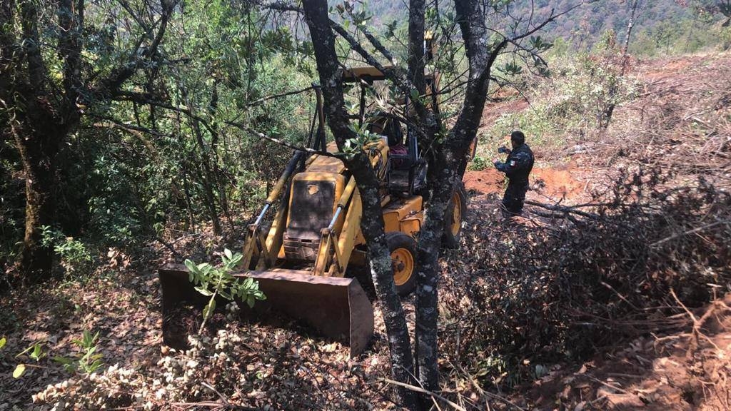 Hasta abril se tienen abiertas ocho carpetas, en Campeche cuatro y cero en Yucatán