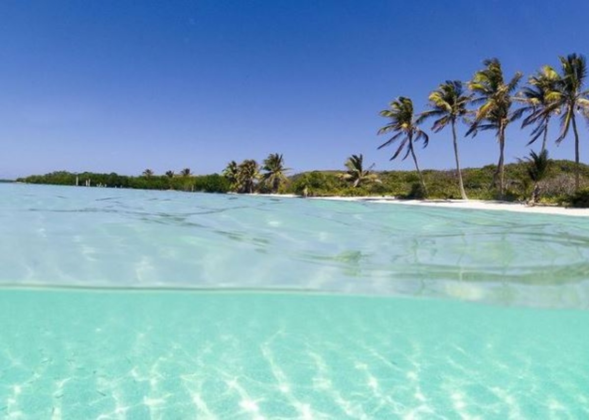 Cinco cosas que debes hacer en Boca Paila, Quintana Roo