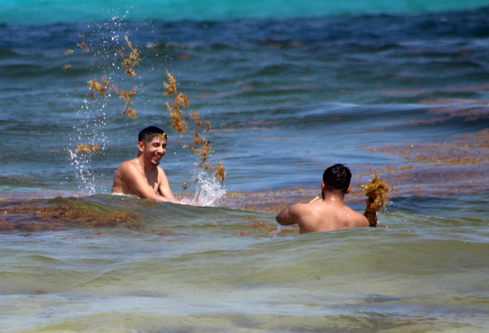 De las 47 playas que tiene Quintana Roo ocho están con catalogada con nivel alto de sargazo