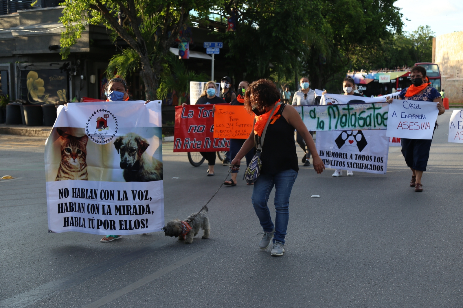 Los dueños de los animales levantaron cuatro denuncias y piden que se castigue a la enfermera