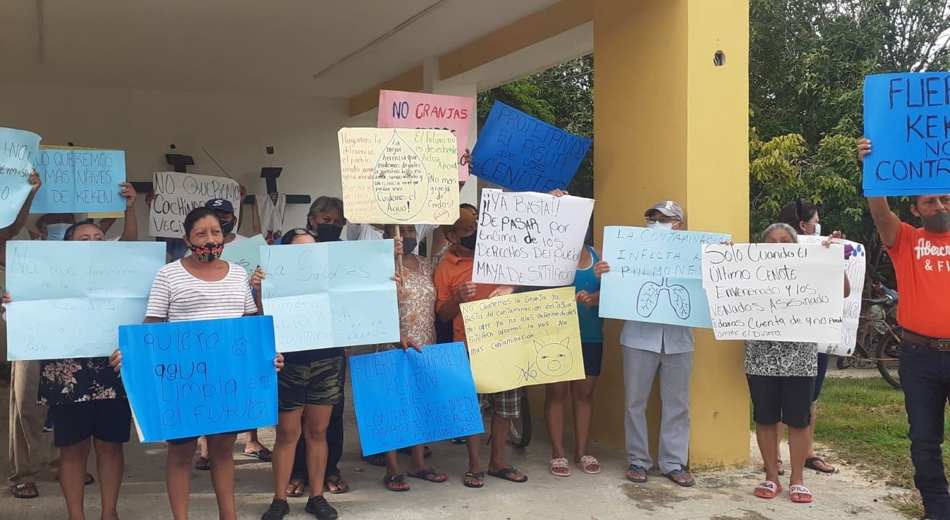 Habitantes de Sitilpech, Yucatán, mantienen rechazo contra granja porcícola de Kekén