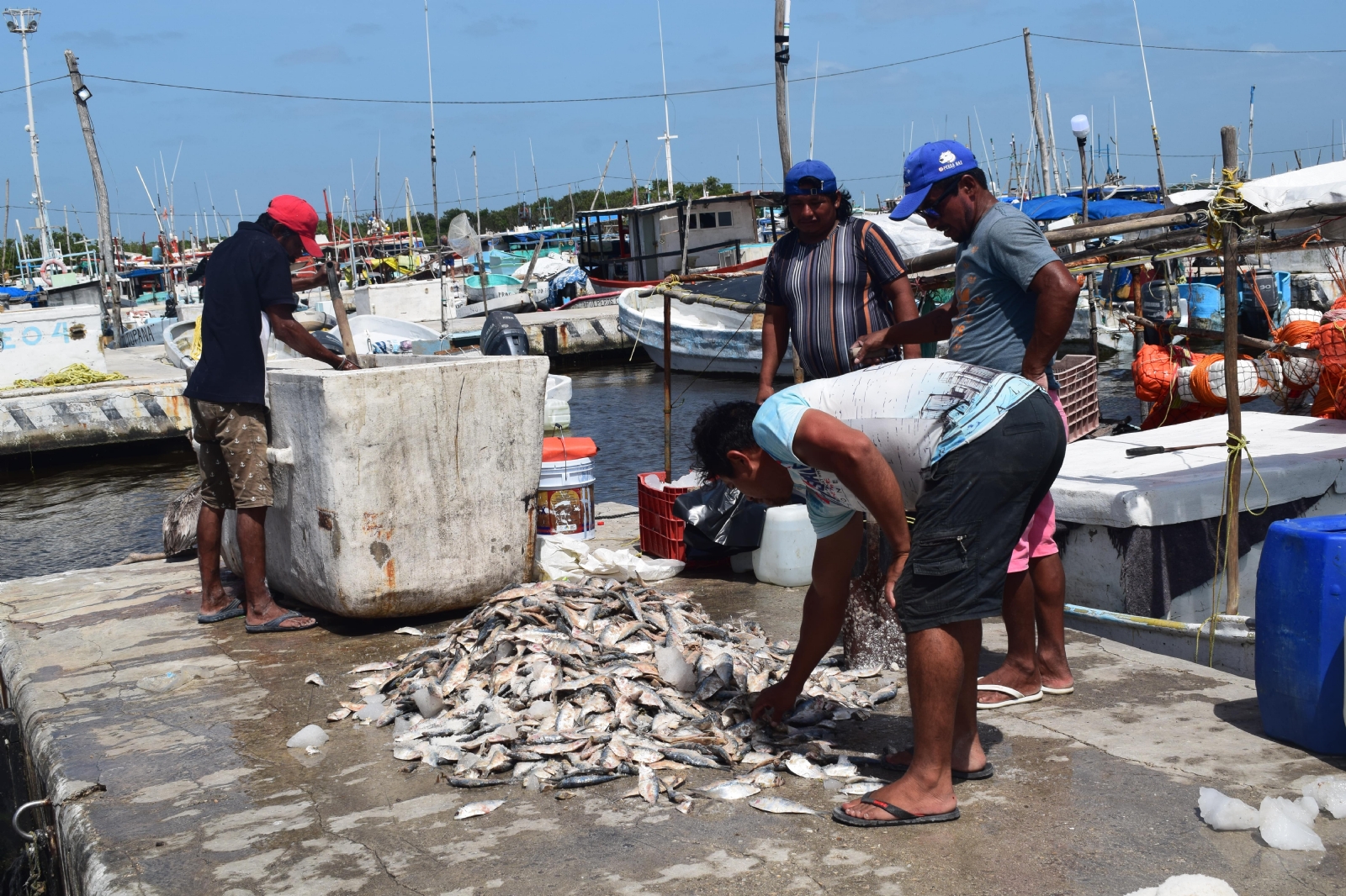 Solo podrán estar 12 pescadores por embarcación