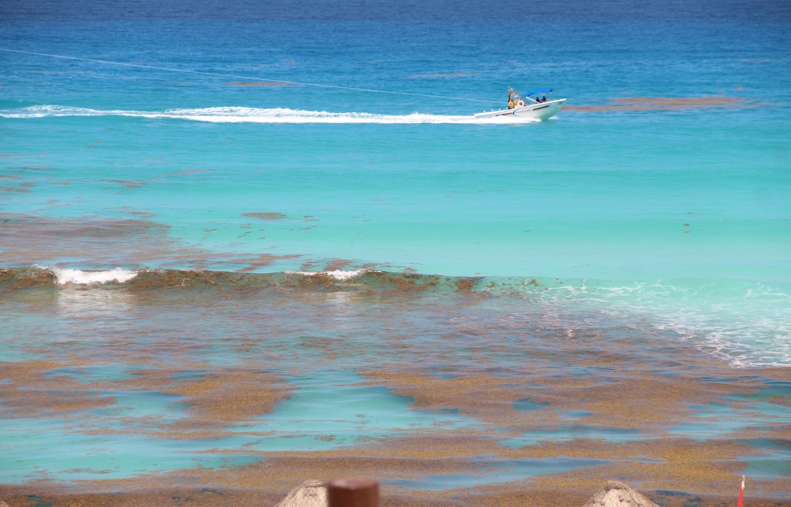 Conoce cuáles son las playas con poco sargazo en Cancún, Quintana Roo