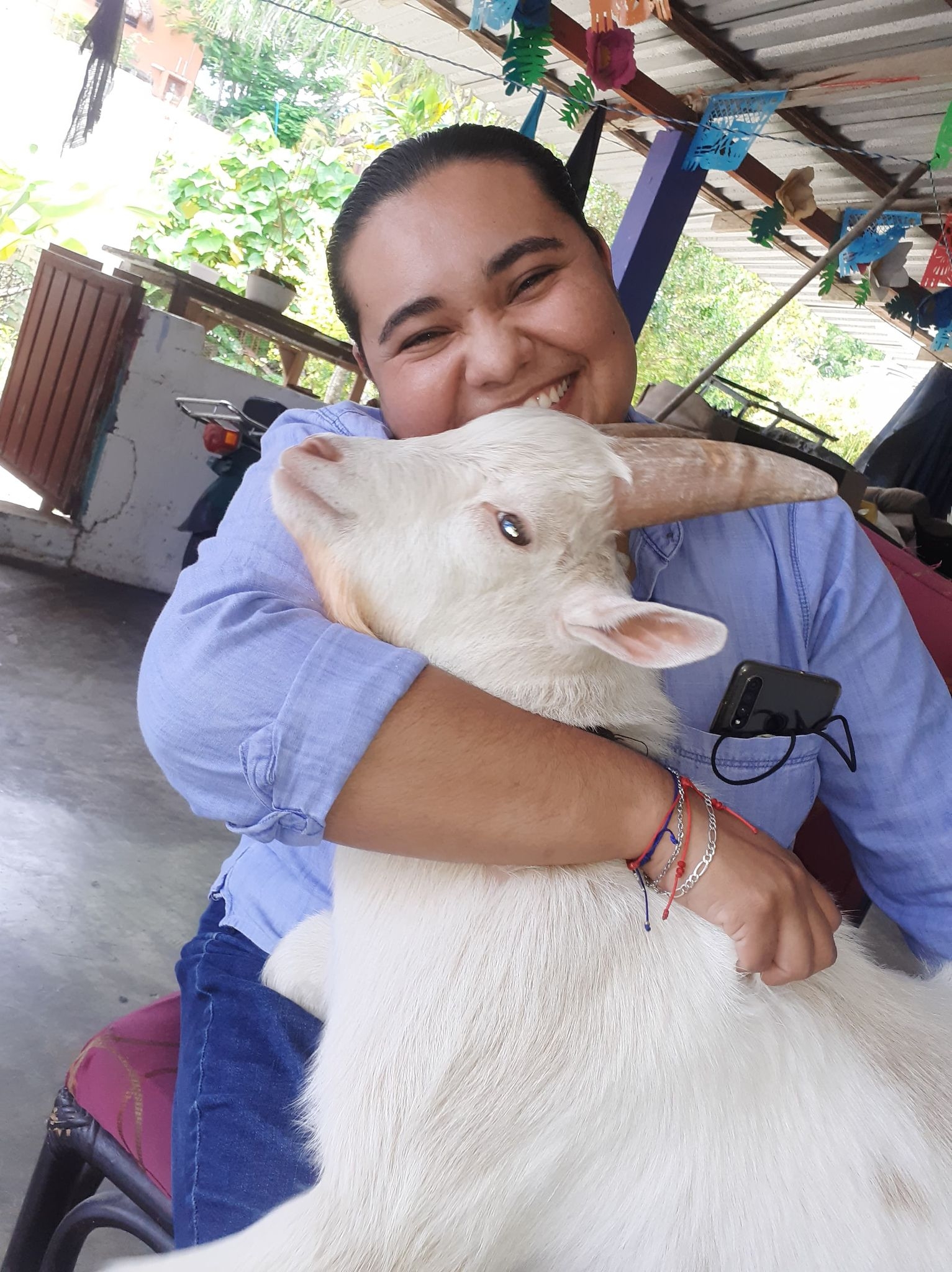 'Tempranillo Ruiz', la cabra que se comporta como perro en Cozumel: FOTOS