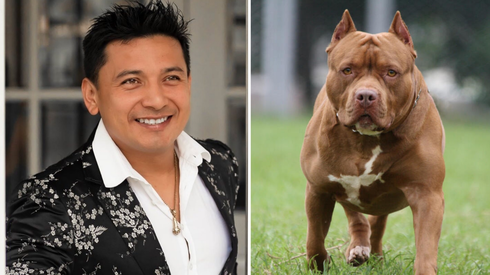 El comediante fue atacado en un parque de Mérida por un Pitbull