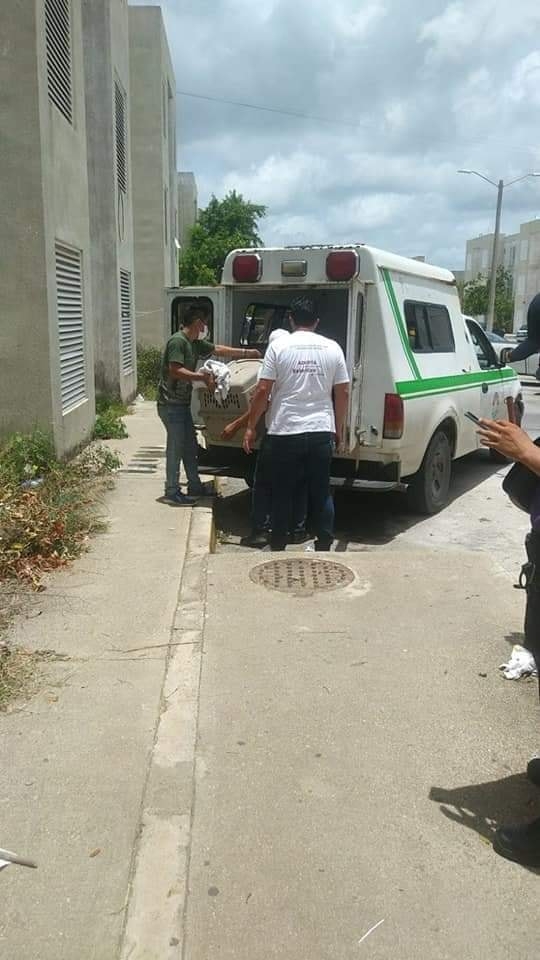 Rescatan a un abuelito y 18 perros de vivir en malas condiciones en la SM 260 de Cancún