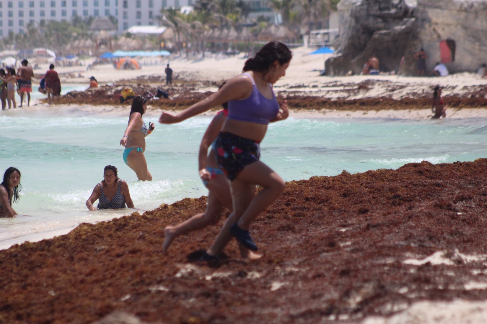 Estas son las siete playas con menos sargazo en Cancún