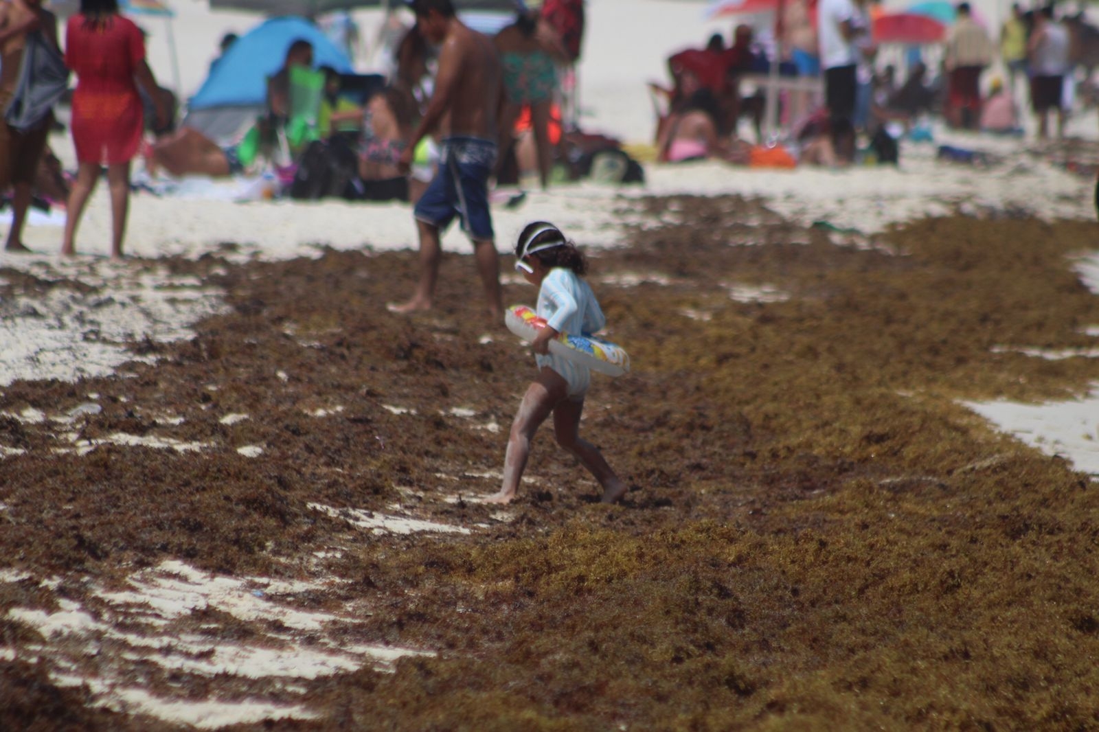 Turistas visitan Playa Forum pese a recale de sargazo en Cancún: FOTOS