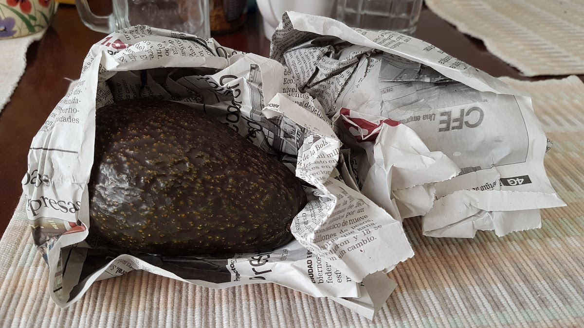 ¿Por qué los aguacates maduran con papel periódico?, ésta es la razón