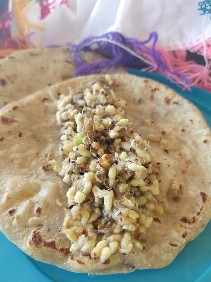 Los tacos de larvas de 'ek' se acompañan con chile tamulado y limón