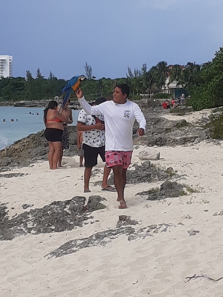 Los explotadores abordan a los asistentes al balneario “Las Rocas”, ofreciendo una fotografía familiar por 100 pesos