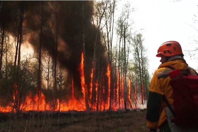 Bomberos voluntarios luchan contra incendio forestal al norte de Argelia: VIDEO