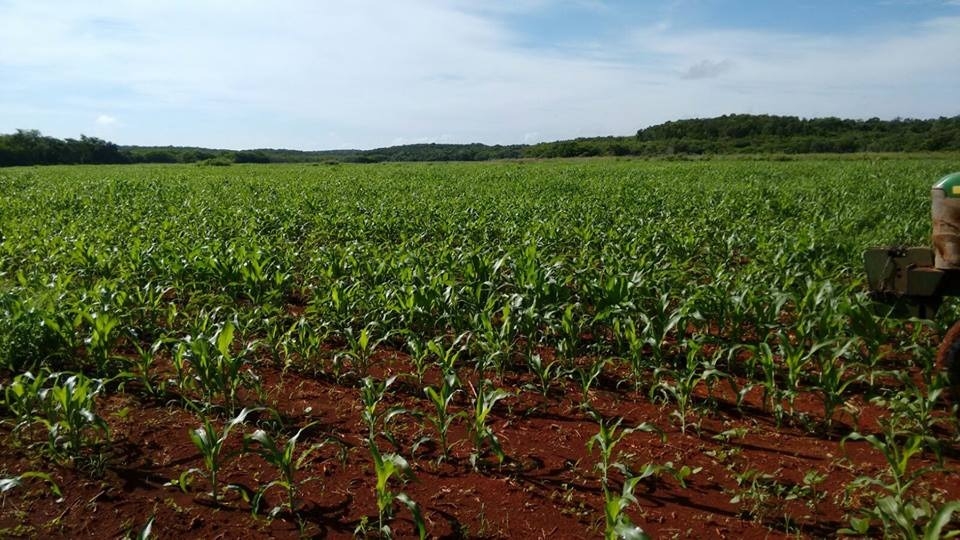 Representante de los campesinos de Hecelchakán refirió que ante los enfrentamientos es necesario que las dependencias agrarias