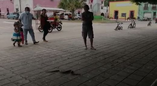 Boa se 'pasea' por el Centro Histórico de Hopelchén, Campeche: VIDEO