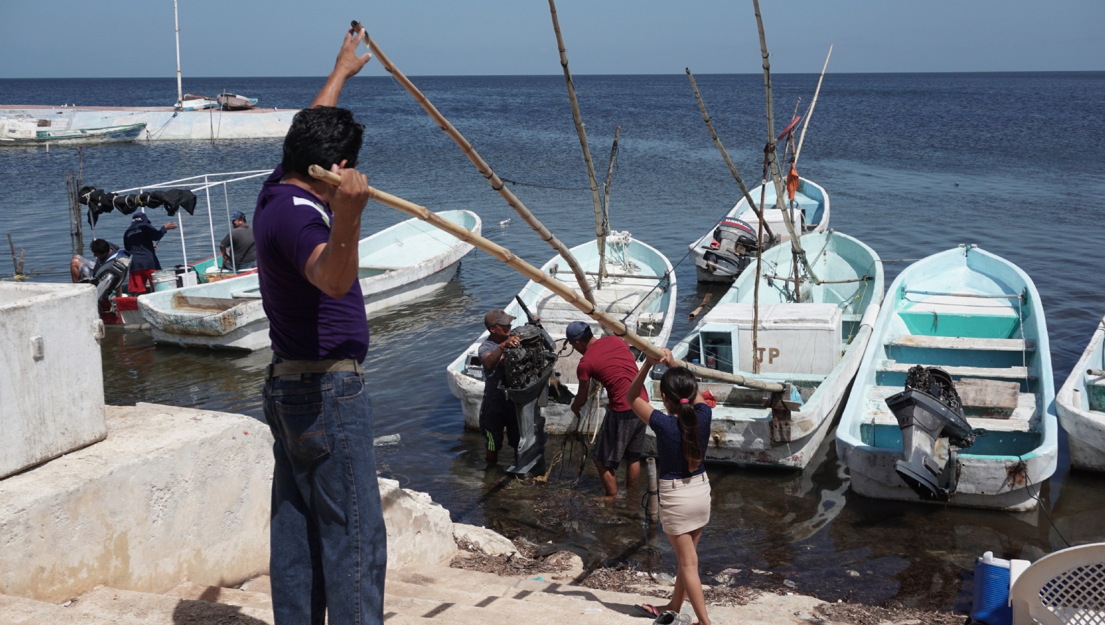 La temporada de pulpo inició el 1 de agosto y concluirá el próximo 15 de diciembre