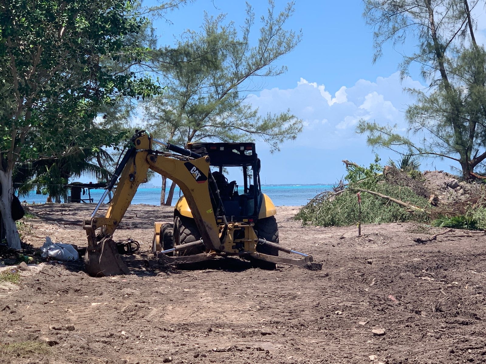 Autorizan devastación de manglar en Sac Bajo, Isla Mujeres