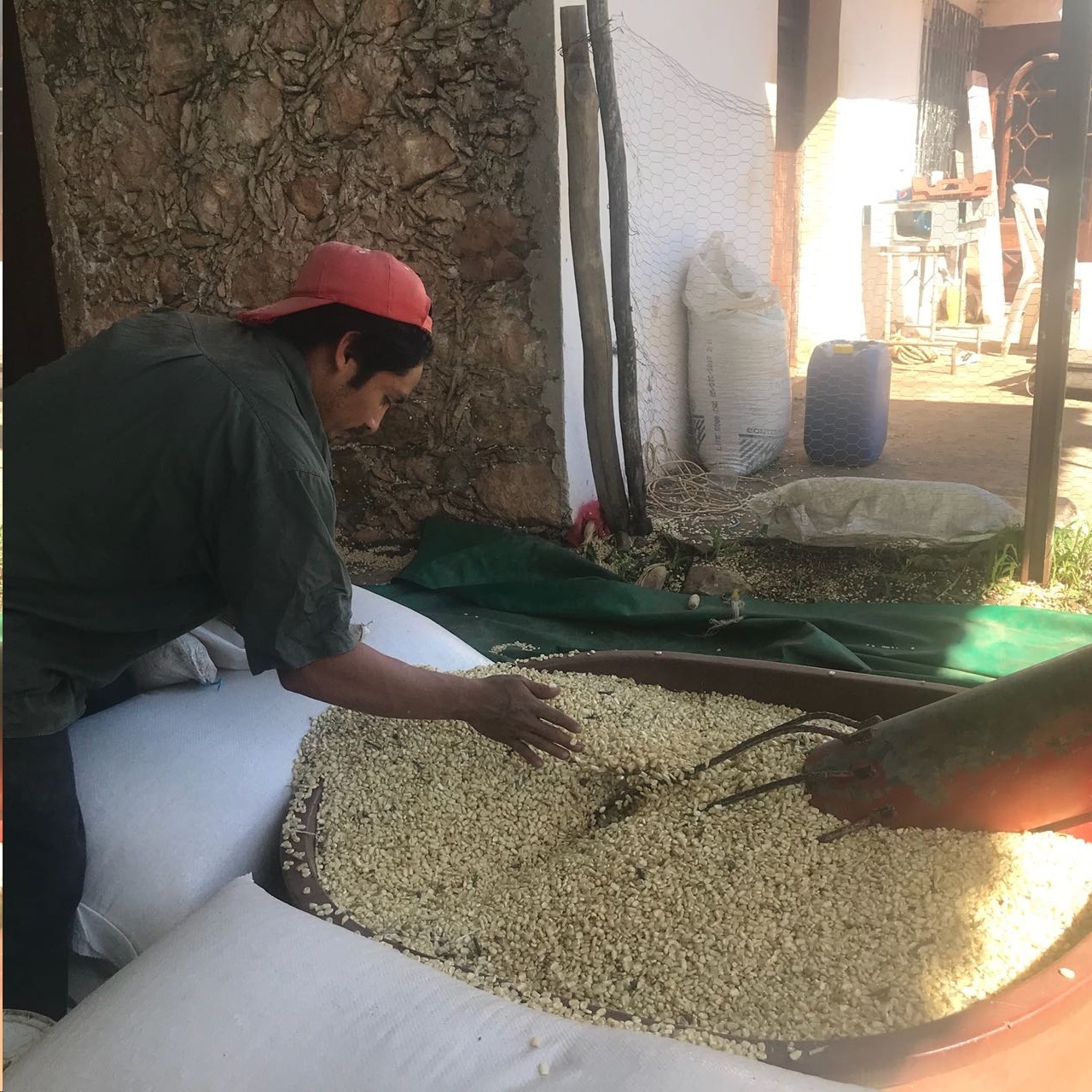 En las oportunidades laborales sobresale los de campo en el cultivo de maíz y frijol