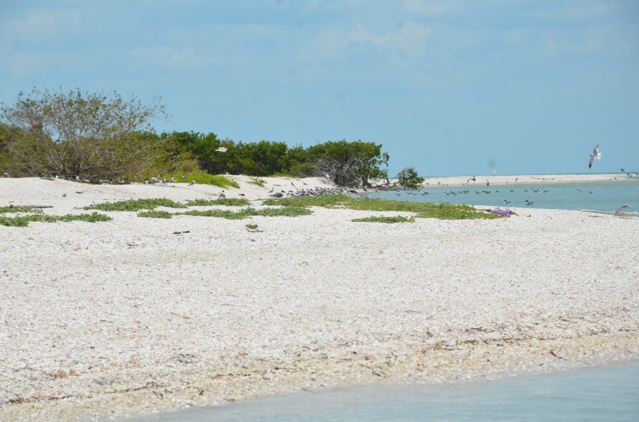 La isla tendrá una tarde calurosa con pocas probabilidades de lluvias  aisladas