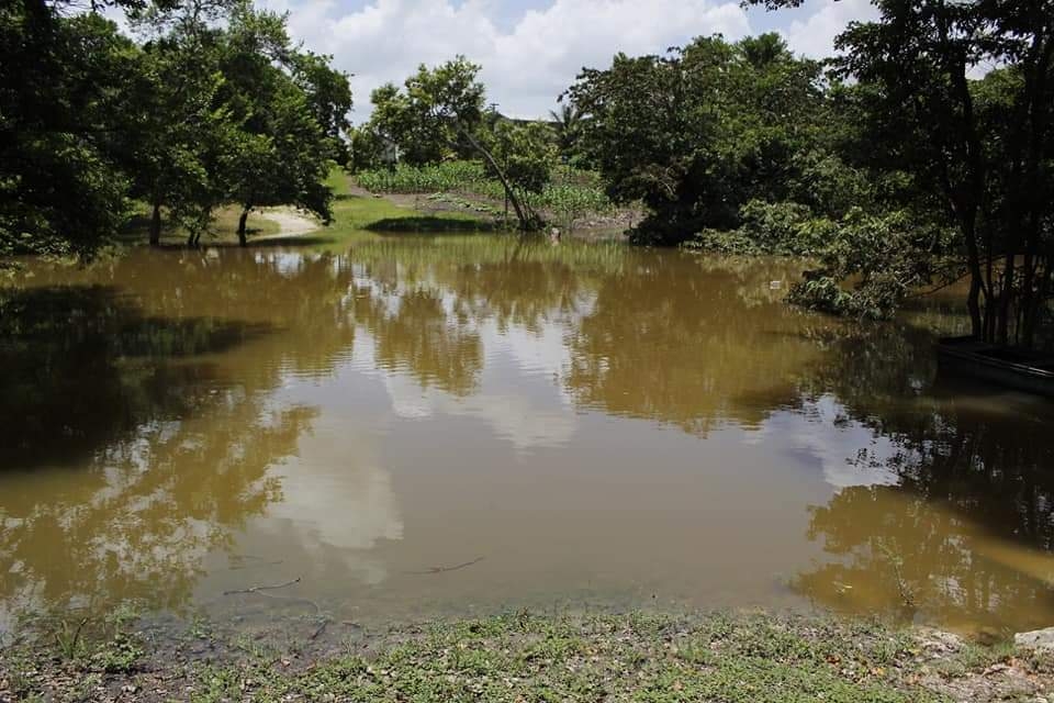 En esa misma comunidad, los habitantes tuvieron que romper una calle para drenar el agua que se e contaba estancada