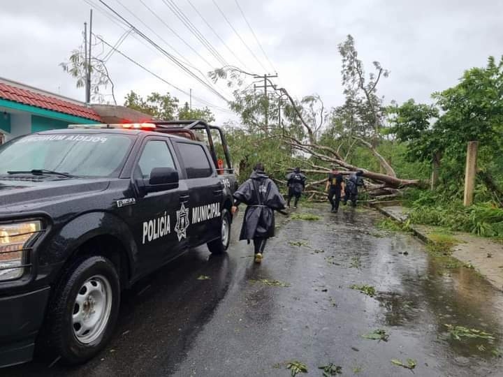 La ropa de una motociclista se atoró en el árbol causando que fuera atropellada tras caer