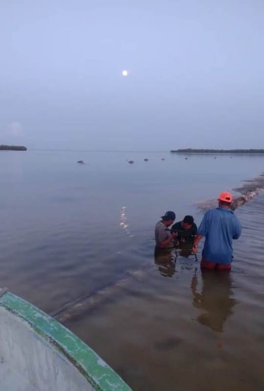 Fuerte oleaje durante el paso del Huracán Grace rompe tuberías en Holbox