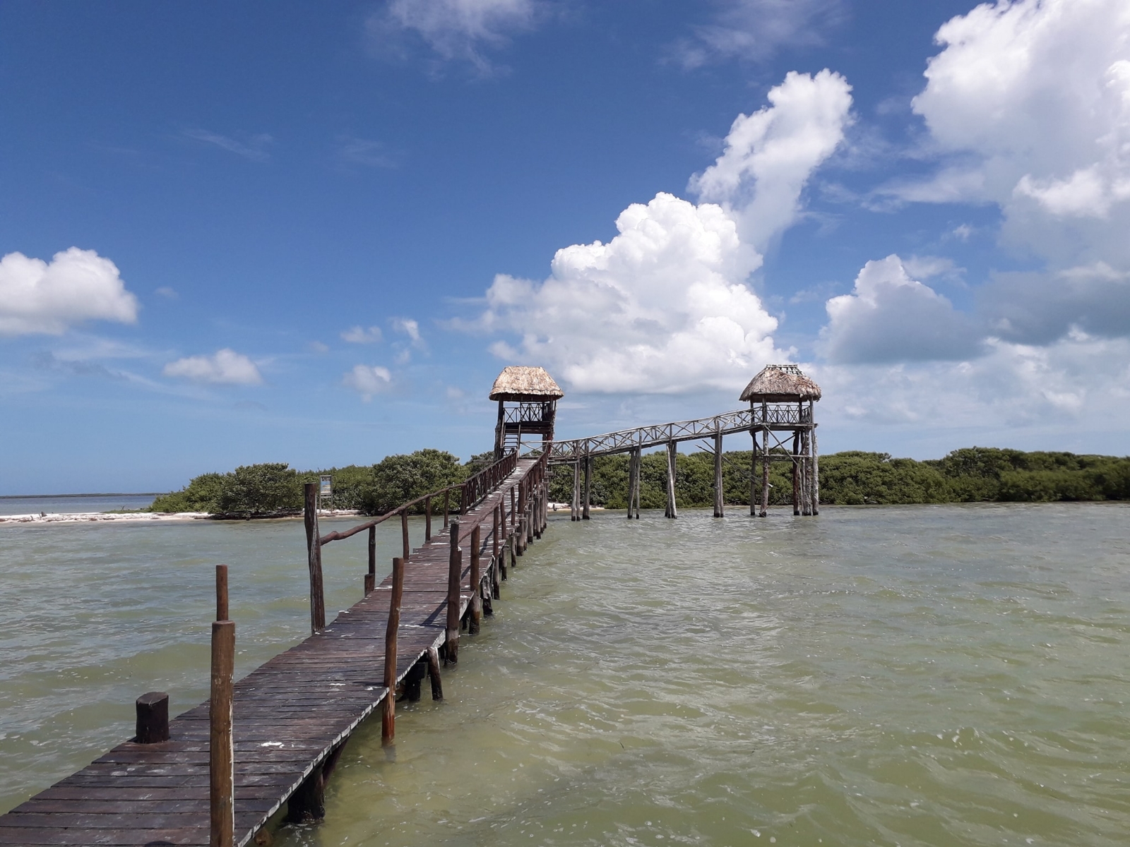 Tren Maya y fiestas clandestinas, amenazas de las reservas naturales en Quintana Roo