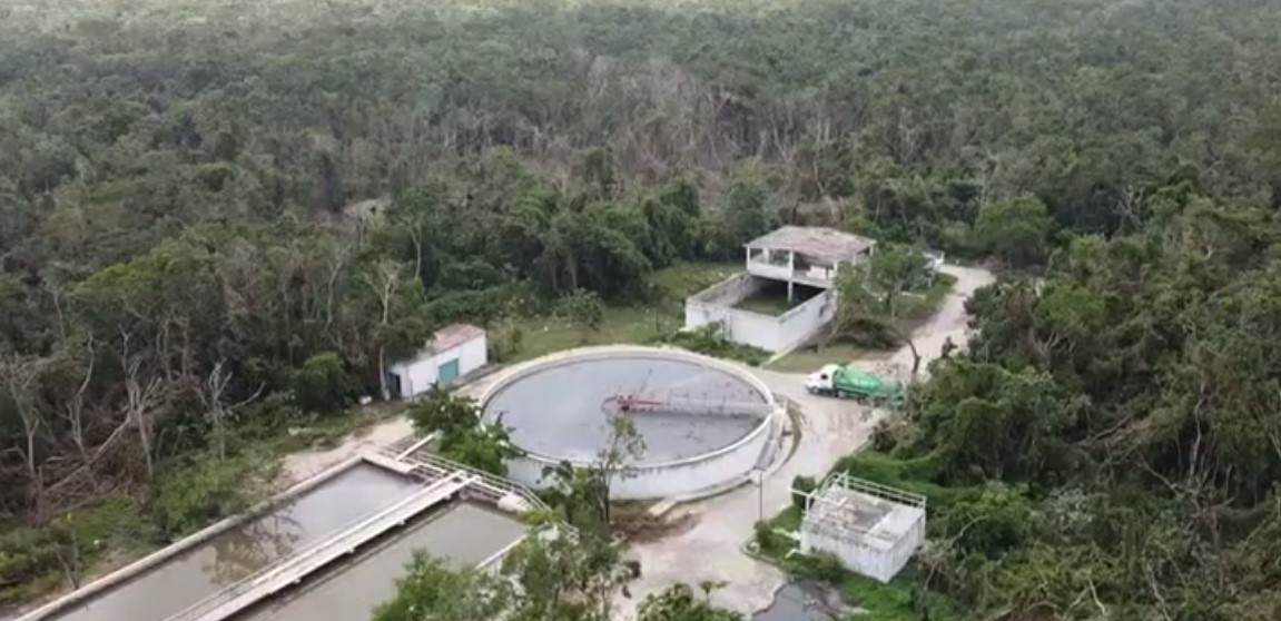 Las personas que realizaron el hallazgo se dieron a la tarea de tomar la evidencia en un video