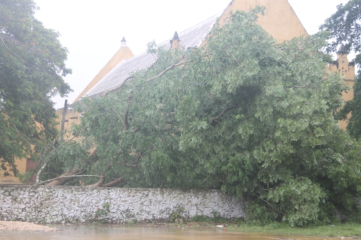 Los vientos del meteoro derribaron arboles y postes en el poblado