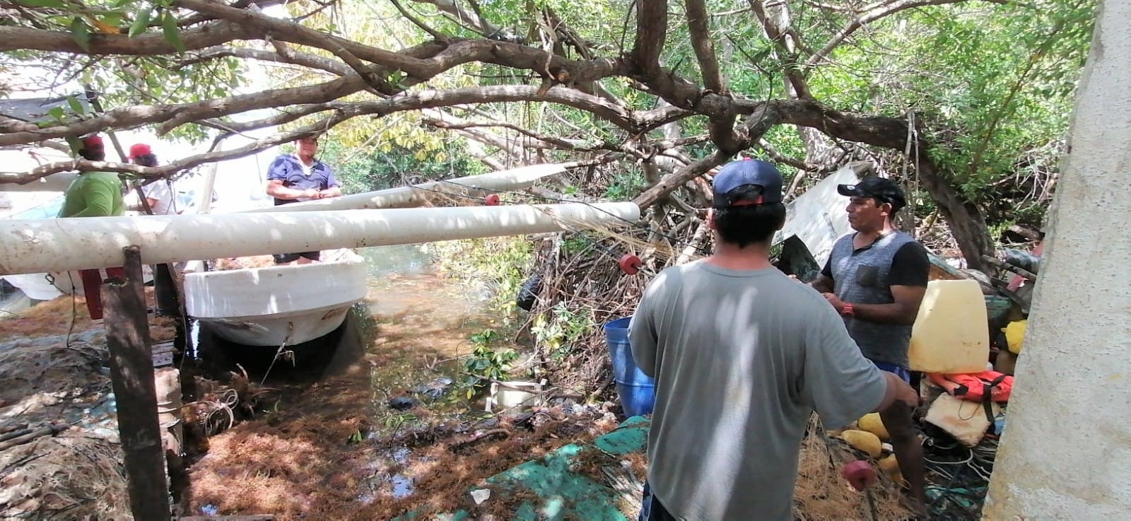 Pescadores capturan más de dos toneladas de langostas tras el paso de Grace en Isla Mujeres