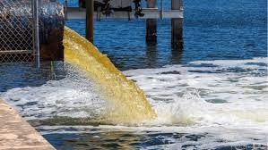 Estas son las afectaciones tras el derrame de aguas residuales en Playa Norte de Isla Mujeres