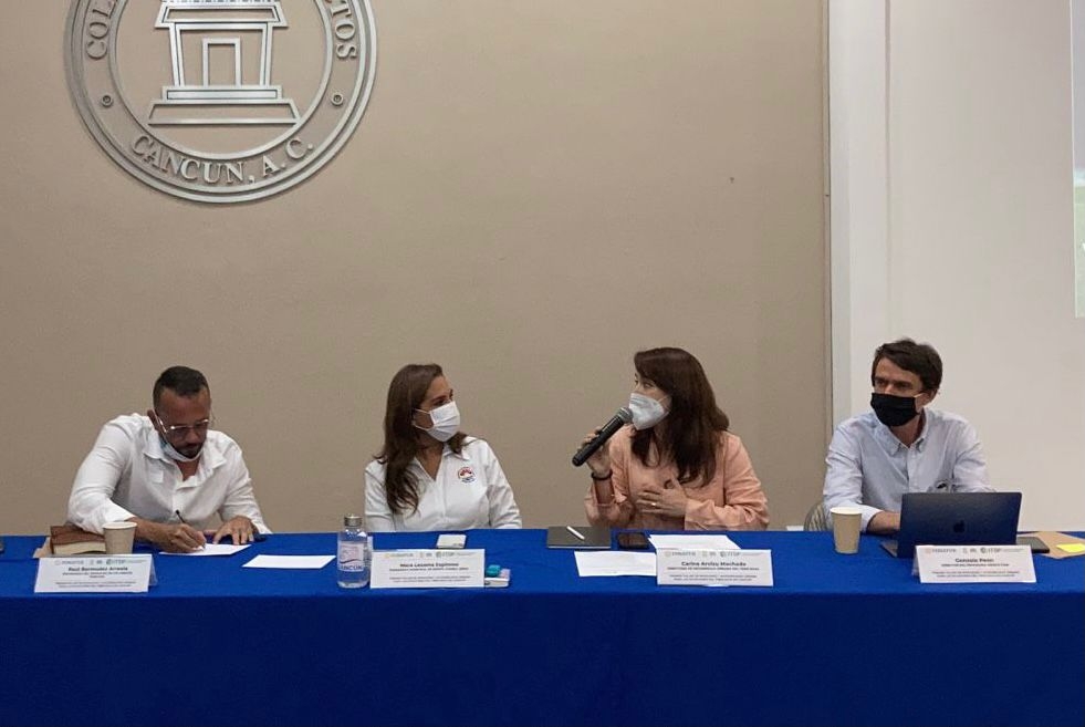 Se presentó el diagnóstico de movilidad y accesibilidad urbana para la implementación del proyecto del Tren Maya