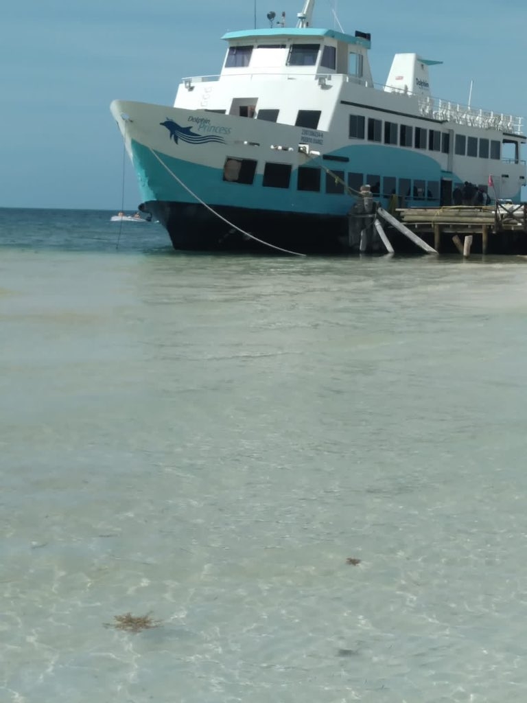 Después de 50 minutos lograron divisar a otros tres cocodrilos rondando en el lugar