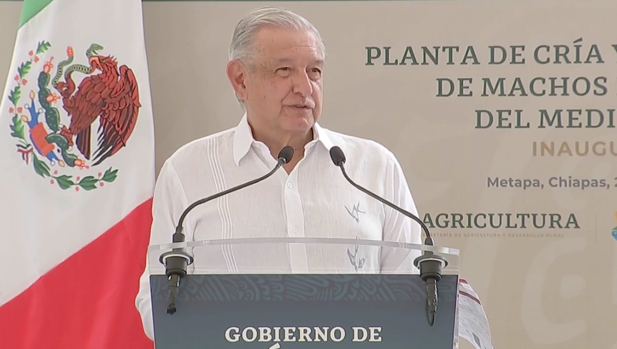 ‘Pocos pero mejores’: AMLO destaca programas de Agricultura en beneficio del sureste del país