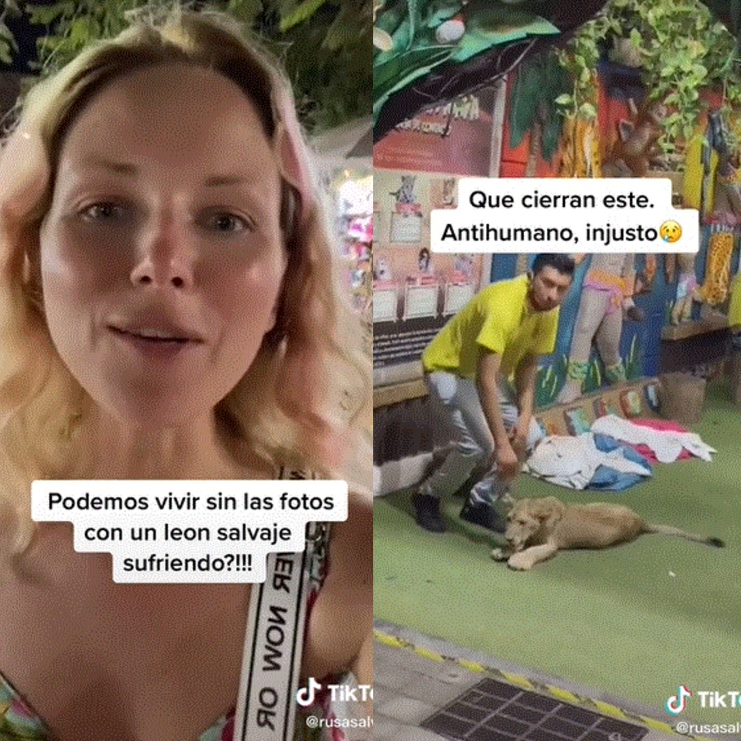 Turista rusa denuncia explotación animal en la Quinta Avenida de Playa del Carmen: VIDEO