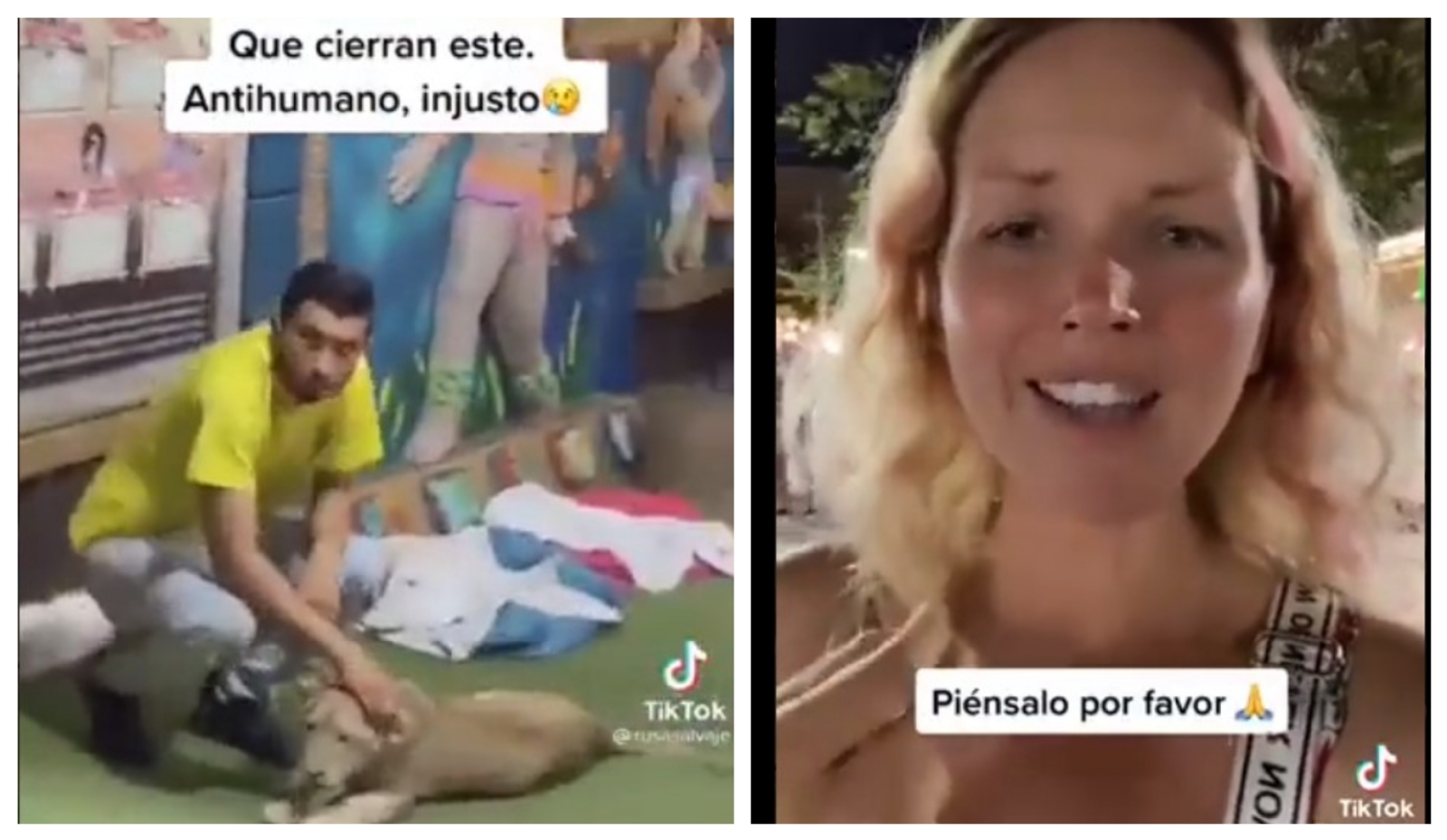 Activistas piden detener explotación de animales silvestres en Playa del Carmen