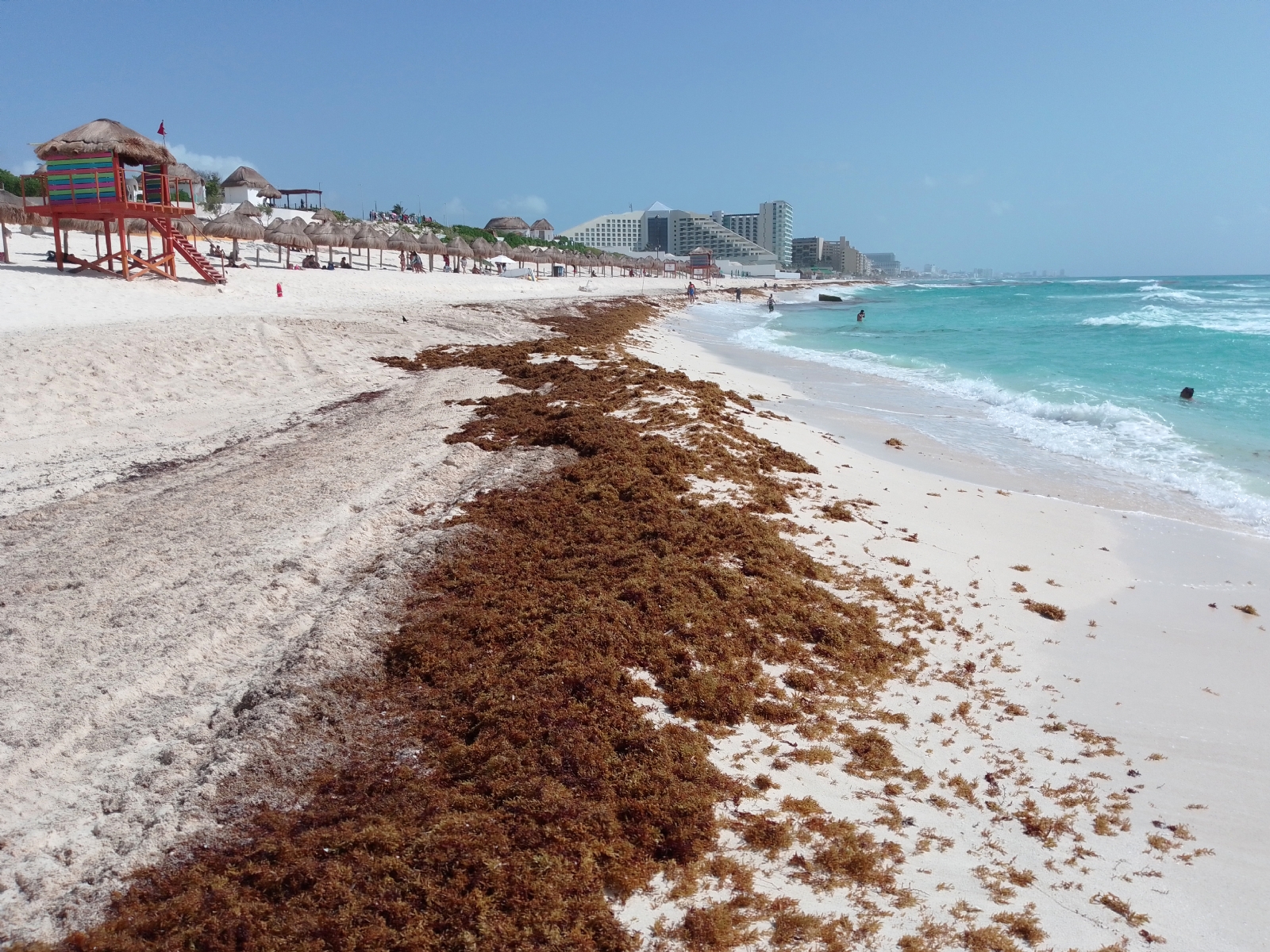 Playas 'Blue Flag' en Cancún, sin mantenimiento y llenas de sargazo