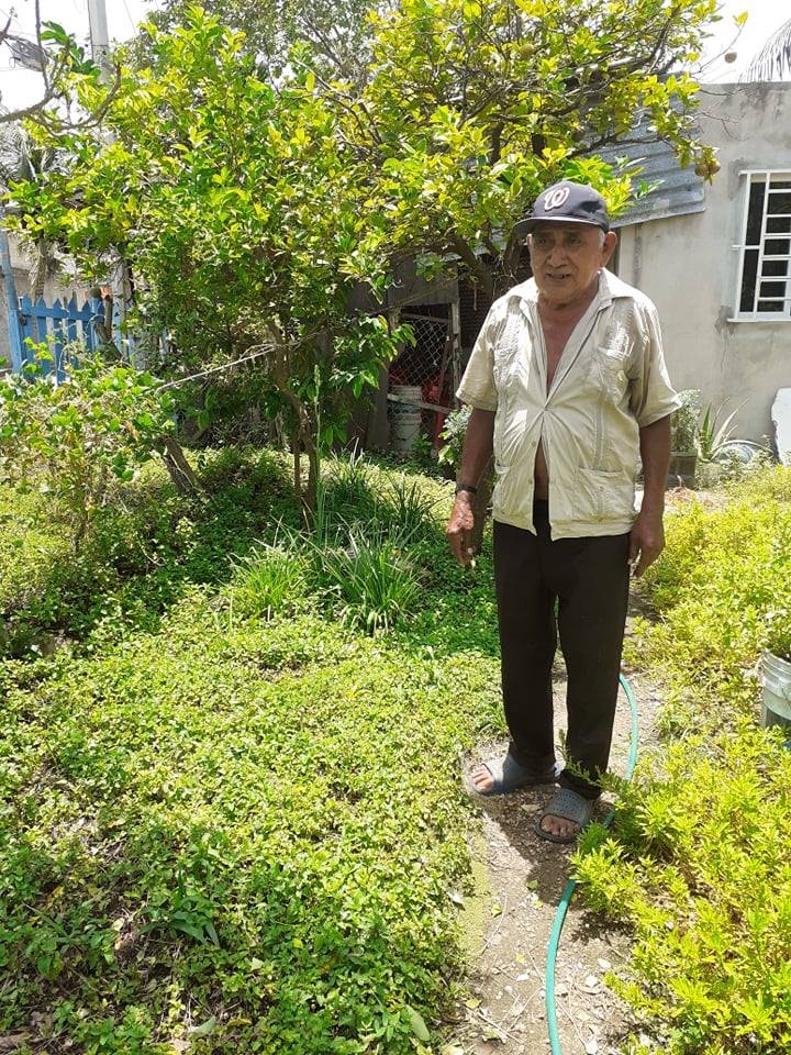 Don Eliseo, un abuelito de Cozumel que se gana el sustento con la venta de albahaca
