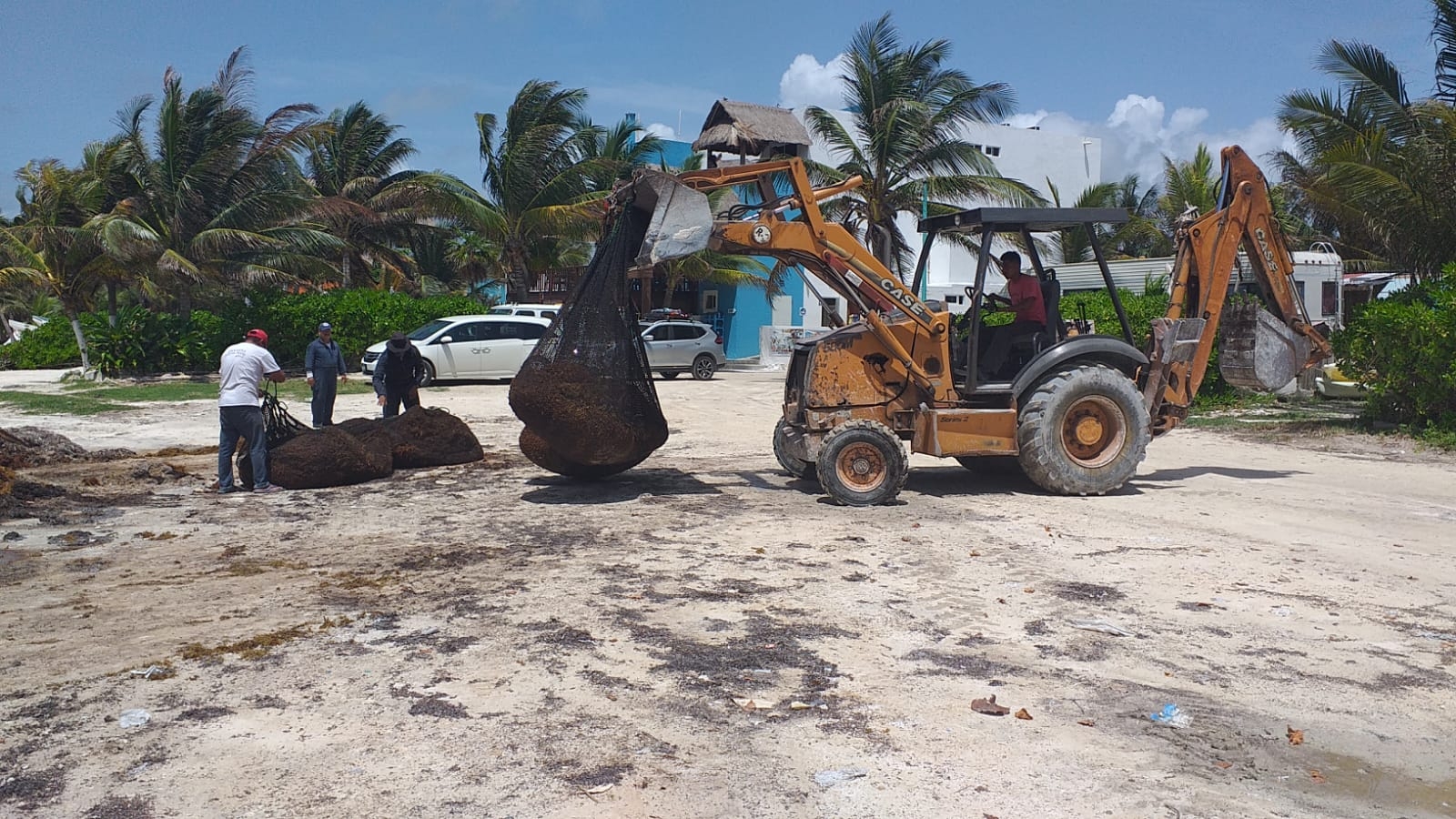 Por arrojar sargazo en sitios sin permiso, autoridades preparan multas en Quintana Roo