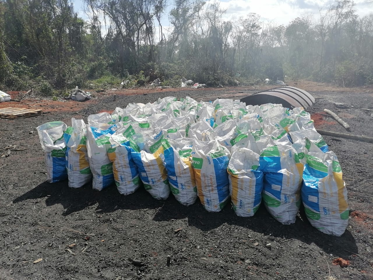 Profepa clausura hornos usados para hacer carbón en Dzibalchén, Campeche