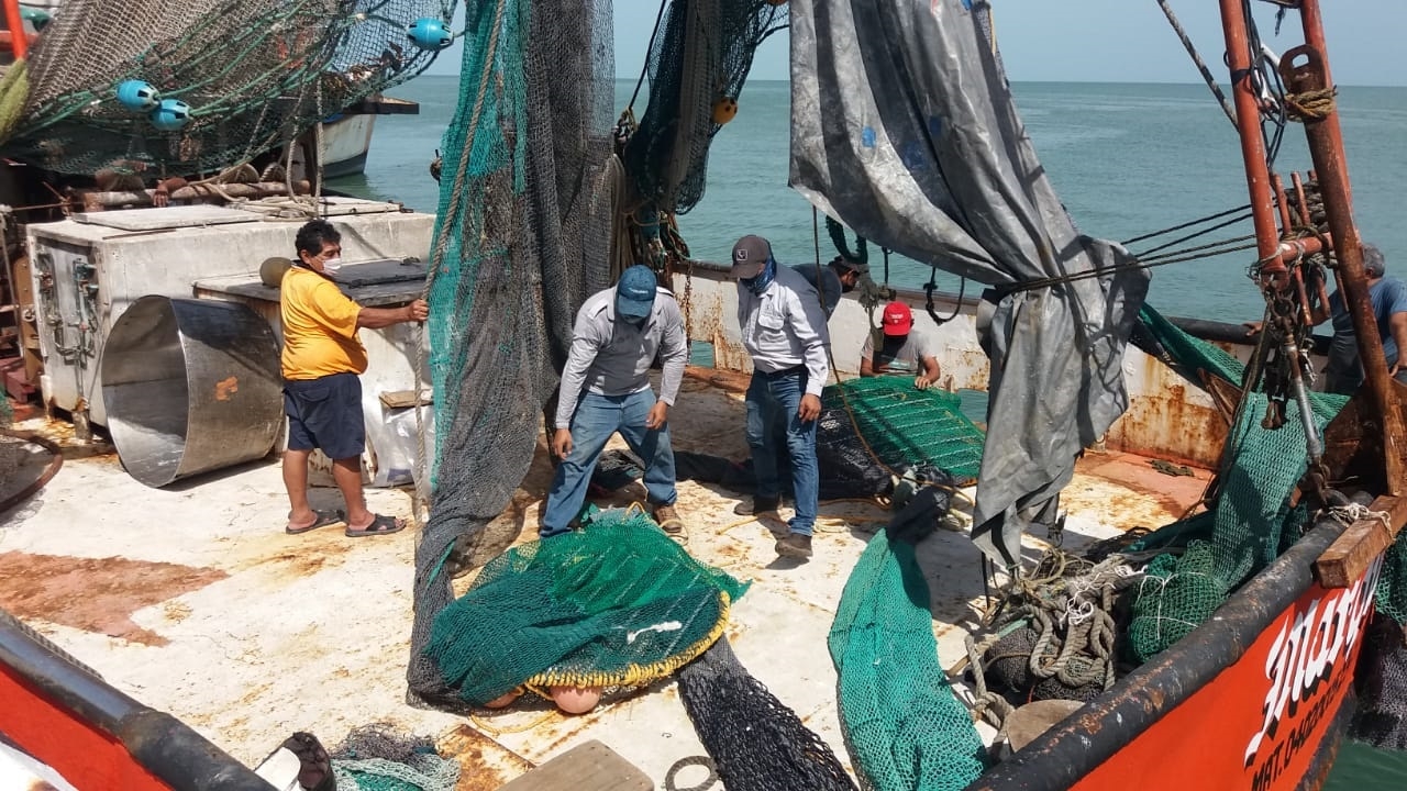 Pescadores de Ciudad del Carmen zarpan a Tamaulipas ante inicio de temporada de camarón