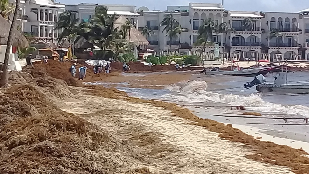 Corriente del mar deja al descubierto los dos ojos de un cenote en Playa del Carmen