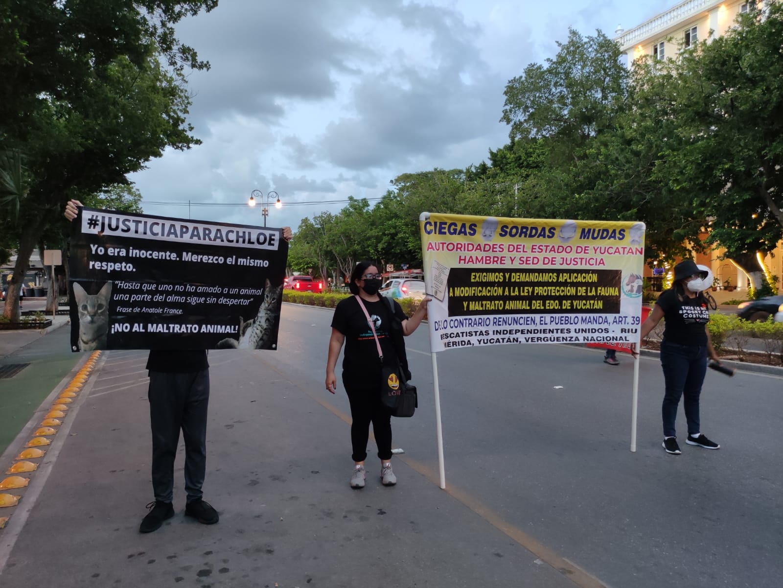 Manifestantes protestan por los derechos animales en el  Día Nacional del Caballo en Mérida