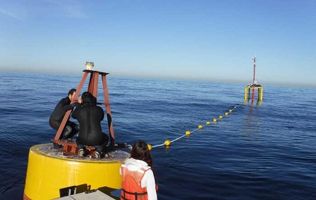 Se desprende boya oceanográfica en las costas de Progreso, Yucatán, alertan