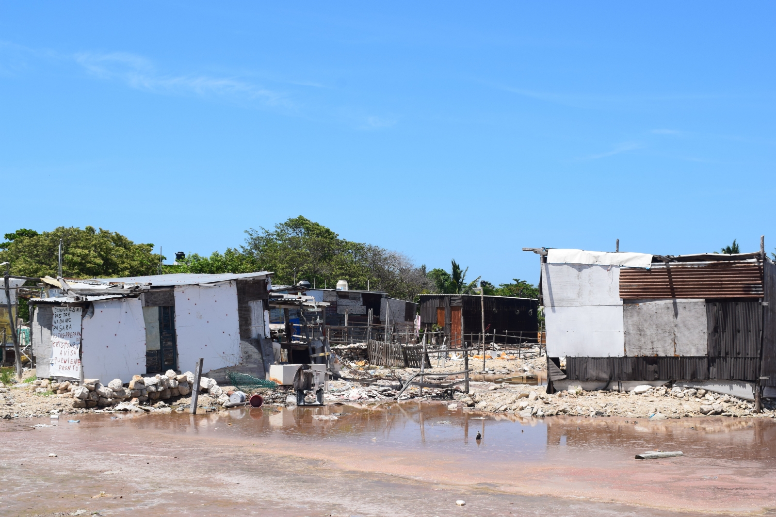 Pese al peligro, más de 100 familias invaden mangle en Progreso, Yucatán