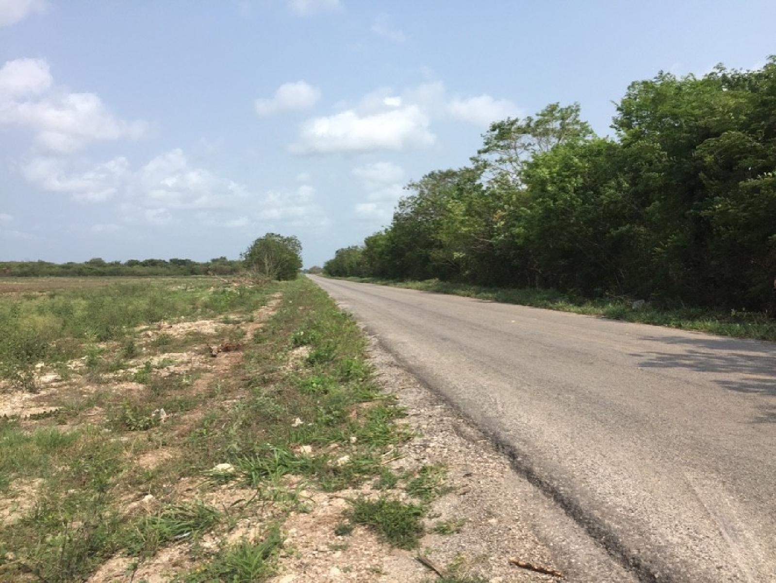 Localizan sin vida a joven de 27 años desaparecido en Playa del Carmen