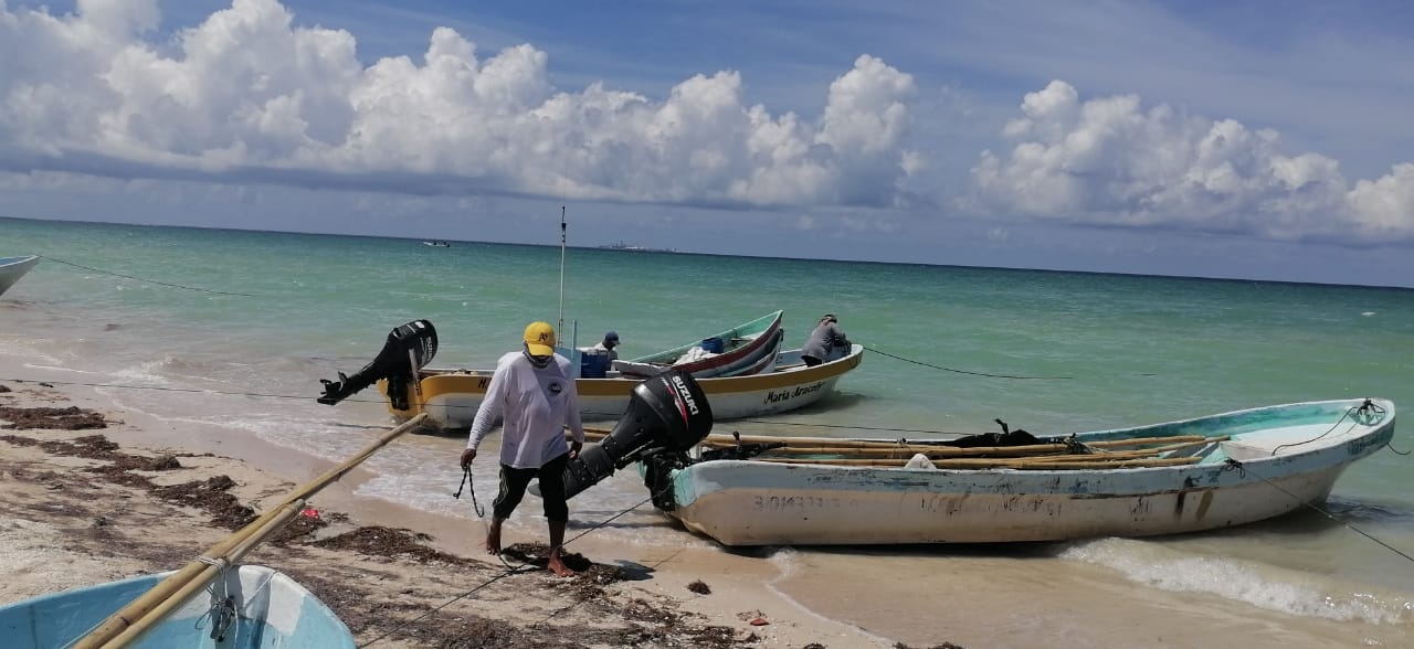 Pescadores compartieron que en una salida al mar lograron la captura de 40 kilos del cefalópodo