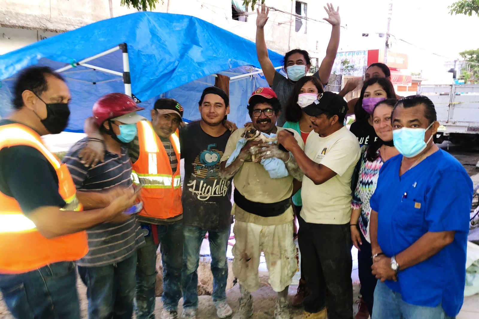 El perrito llamado 'Kibi' fue rescatado con vida, y en Centro de Control Animal de Cozumel se lo llevó para valoración