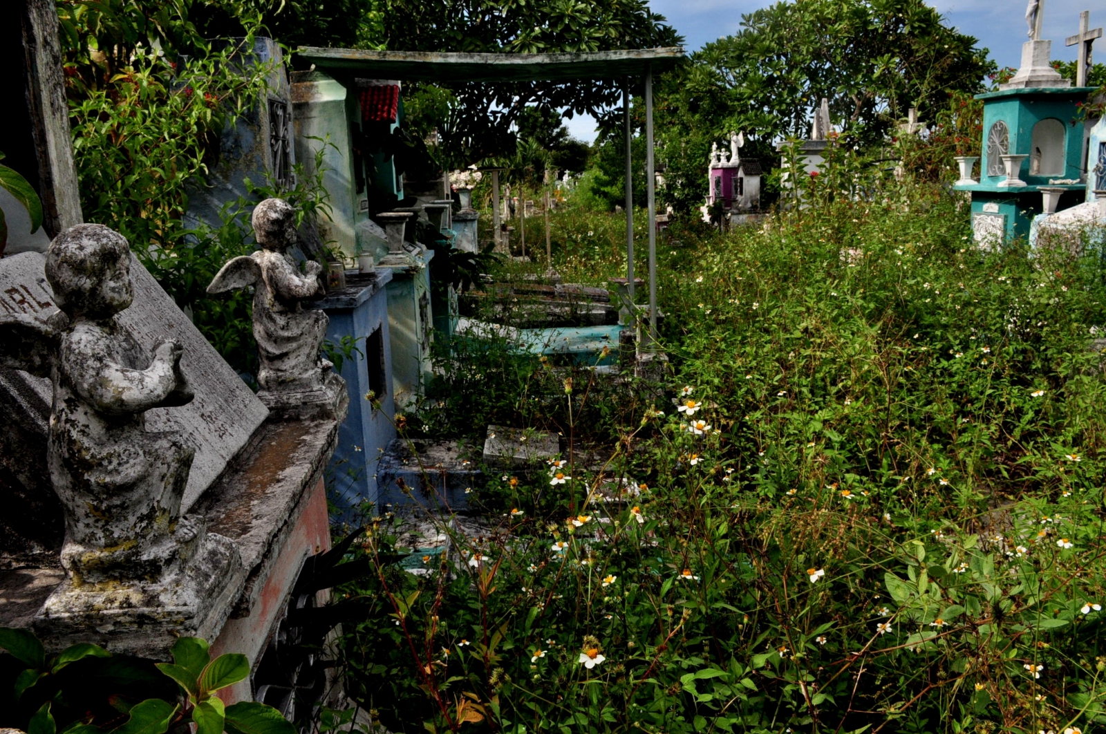 La maleza invade las tumbas, así como los pasillos del cementerio