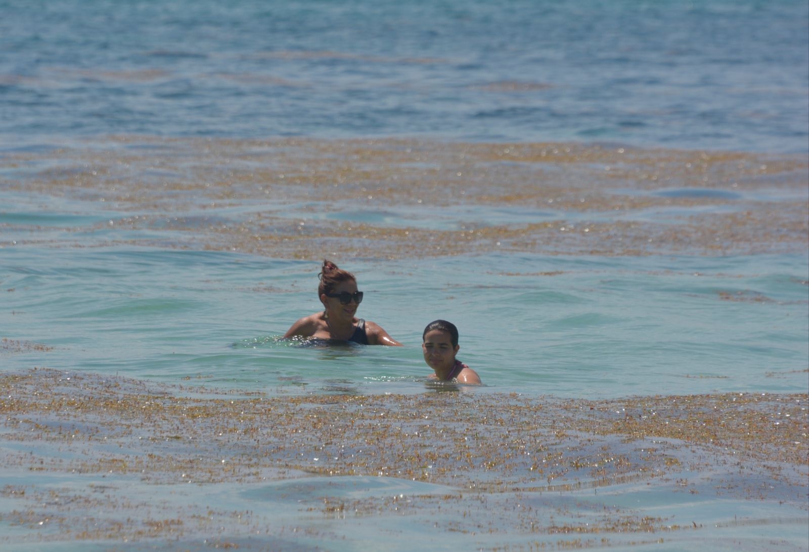 El sargazo sigue afectando las costas del Caribe Mexicano